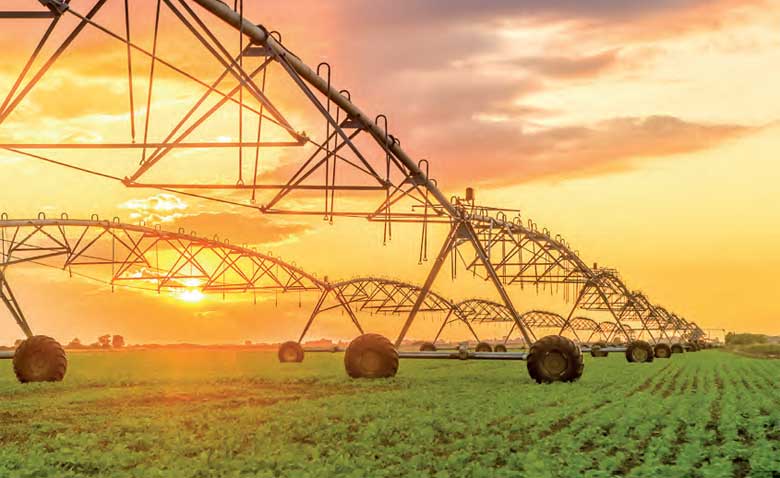 Les précipitations abondantes